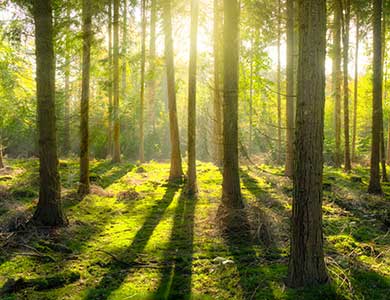 8888����(gu��)����㾫