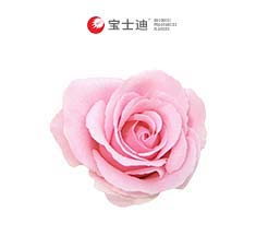 2788����(gu��)õ���㾫