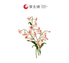 3768�m���㾫