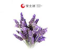 3963����(gu��)޹�²��㾫