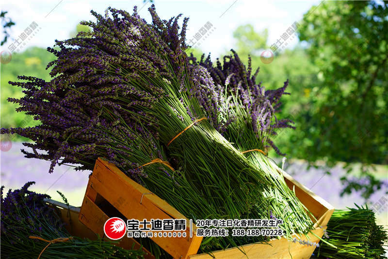 薰衣草香精 薰衣草香精