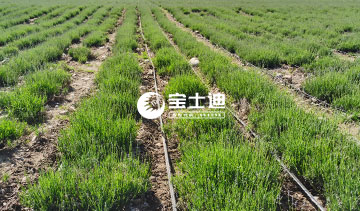 ��ʿ�ϻ���޹�²ݾ���-��(y��u)������