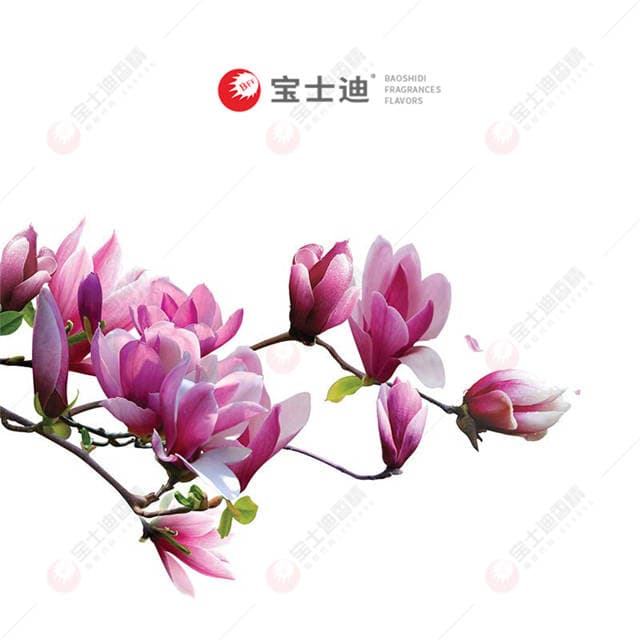 �����m�㾫